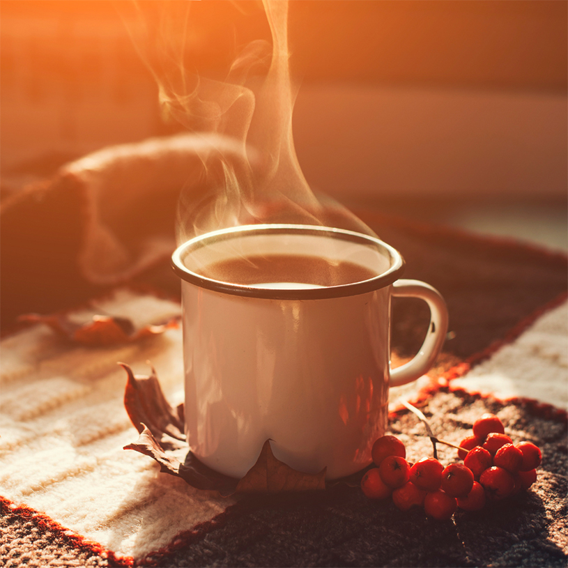 Disfruta una infusión cálida y reconfortante con todo el sabor de la Navidad