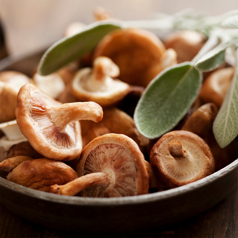 El Shiitake, un ingrediente estrella para una vida saludable