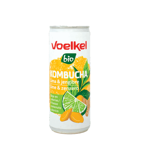 Kombucha Voelkel Lima Jengibre 250ml