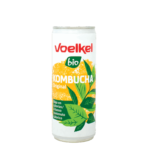 Kombucha Voelkel Original 250ml