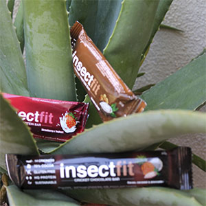 Beneficios de los insectos comestibles 2